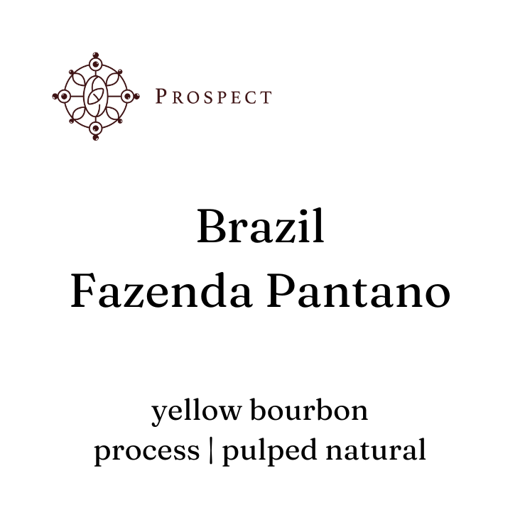 Brazil - Fazenda Pantano