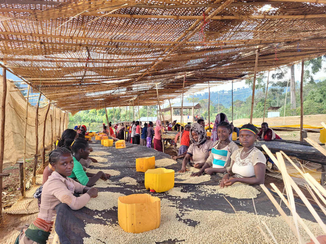 Ethiopia - Chelbesa