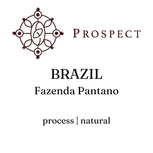 Prospect Coffee | Fazenda Pantano, Minas Gerais - Brazilian single origin