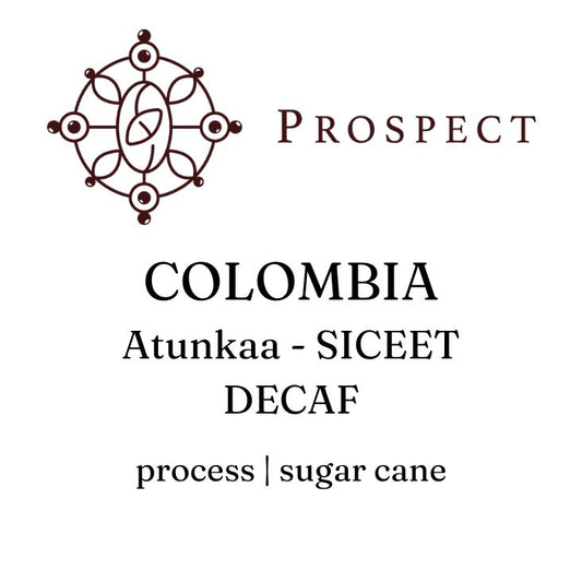 Prospect Coffee | Atunkaa, Cauca - Colombian single origin DECAF