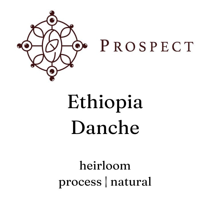 Prospect Coffee | Danche, Yirgacheffe - Ethiopian single origin