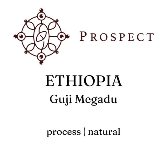 Prospect Coffee | Guji Megadu, Sidamo - Ethiopian single origin