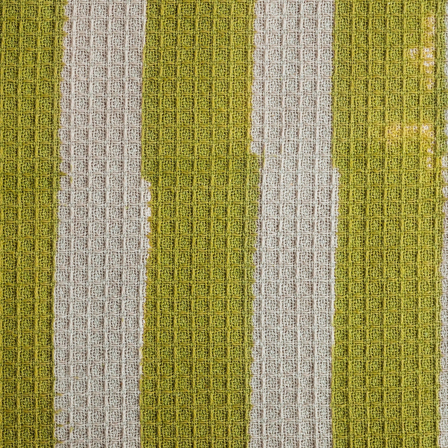 Constance & Denny - Wide stripe OLIVE tea towel