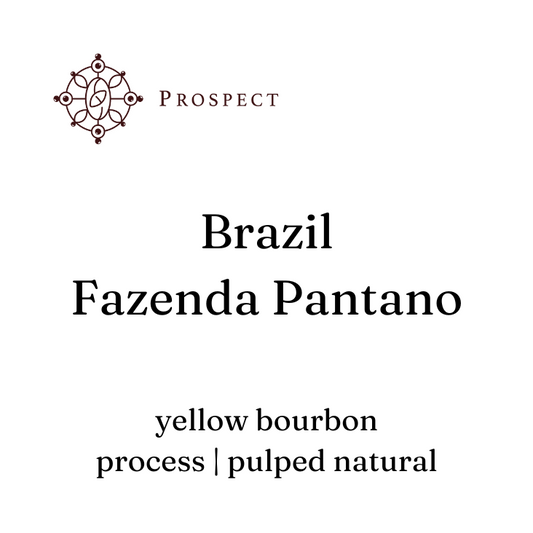 Brazil - Fazenda Pantano